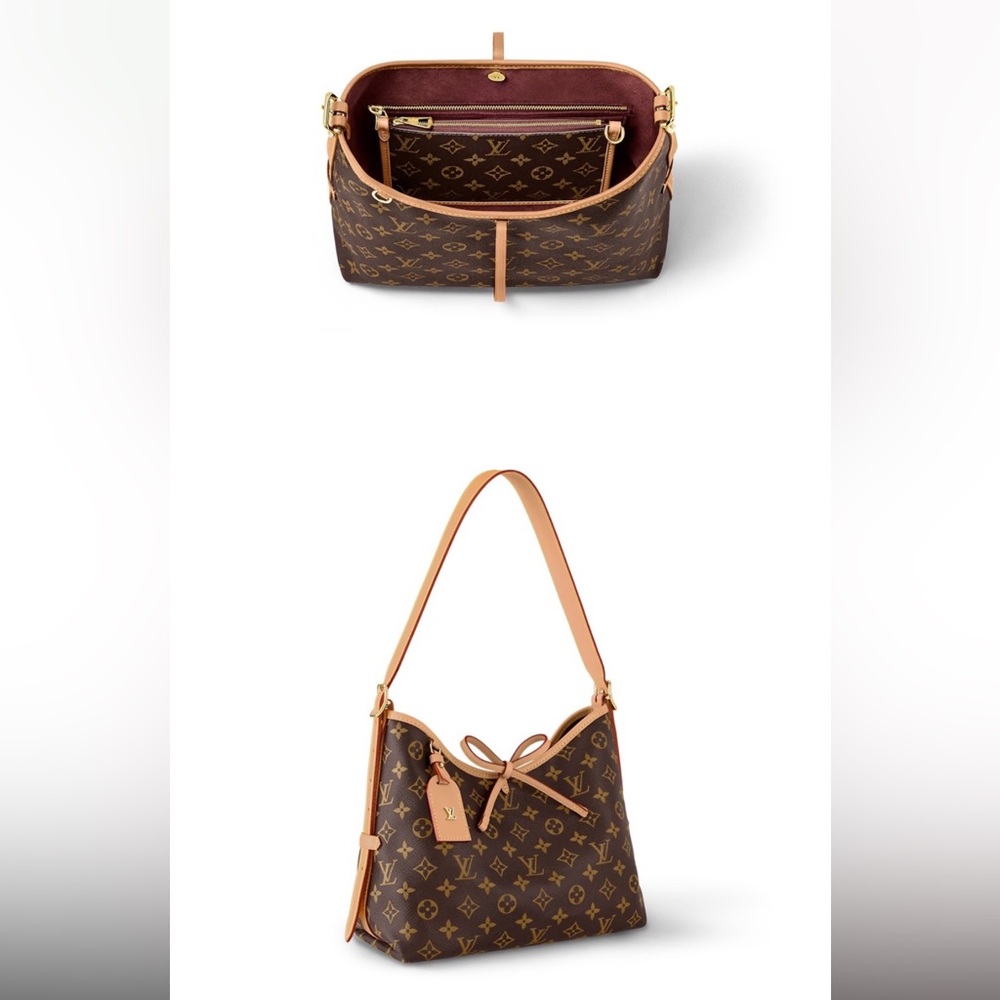 LV Carryall PM Bag - Picture 4 of 17